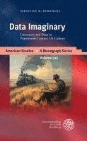 bokomslag Data Imaginary: Literature and Data in Nineteenth-Century Us Culture