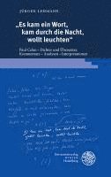 bokomslag 'Es Kam Ein Wort, Kam Durch Die Nacht, Wollt Leuchten': Paul Celan - Dichter Und Ubersetzer. Kommentare - Analysen - Interpretationen