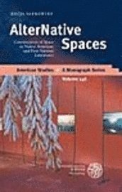 Katja Sarkowsky - Alternative Spaces: Constructions of Space in Native American and First Nations' Literatures, Inbunden