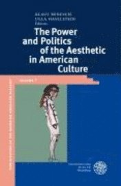 Klaus Benesch, Ulla Haselstein - The Power and Politics of the Aesthetic in American Culture, Inbunden