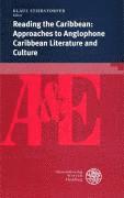 Klaus Stierstorfer - Reading the Caribbean: Approaches to Anglophone Caribbean Literature and Culture, Häftad