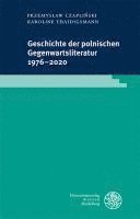 bokomslag Geschichte Der Polnischen Gegenwartsliteratur 1976-2020