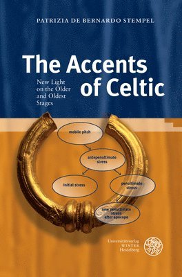 bokomslag The Accents of Celtic: New Light on the Older and Oldest Stages