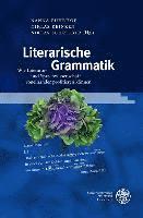 bokomslag Literarische Grammatik: Wie Literatur- Und Sprachwissenschaft Voneinander Profitieren Konnen