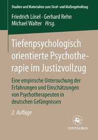 bokomslag Tiefenpsychologisch orientierte Psychotherapie im Justizvollzug