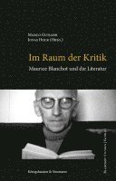 bokomslag Im Raum der Kritik