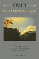 bokomslag Metamorphosen