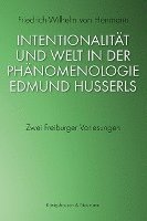 bokomslag Intentionalität und Welt in der Phänomenologie Edmund Husserls