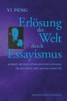 bokomslag Erlösung der Welt durch Essayismus