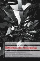 Ästhetiken des Untergangs