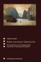 bokomslag Bilder schreiben Geschichte