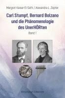 bokomslag Carl Stumpf, Bernard Bolzano und  die Phänomenologie des UnerHÖRten