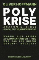 bokomslag Polykrise