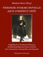 Theodor Storms Novelle Aquis submersus (1876)