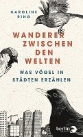 bokomslag Wanderer zwischen den Welten