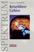 bokomslag Reiseführer Gehirn