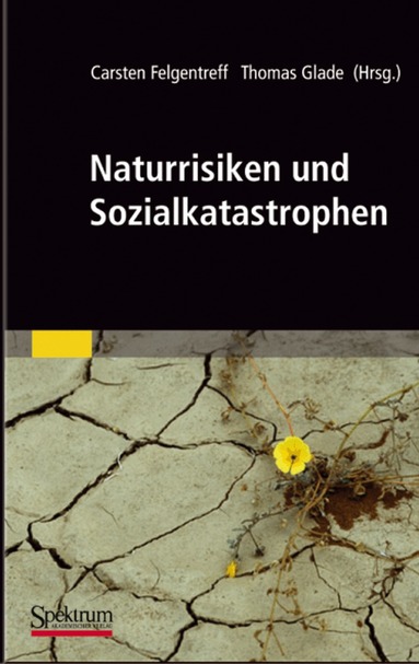 Carsten Felgentreff, Thomas Glade - Naturrisiken und Sozialkatastrophen, Inbunden