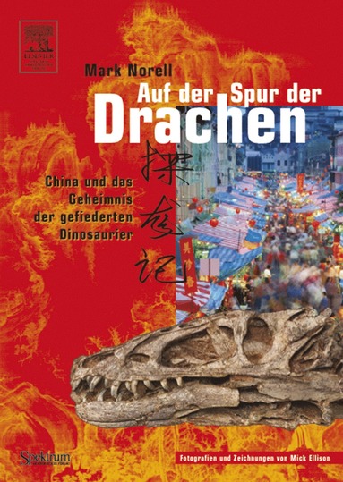 bokomslag Auf der Spur der Drachen