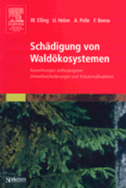 bokomslag Schadigung Von Waldokosystemen