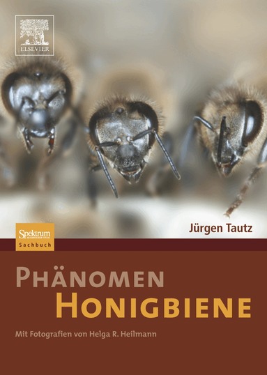 Helga R. Heilmann, Jurgen Tautz - Phanomen Honigbiene, Inbunden