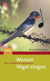 bokomslag Warum Vögel Singen: Eine Musikalische Spurensuche