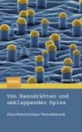 Von Nanodrahten Und Umklappenden Spins: Zukunftstechnologie Nanoelektronik 1