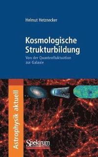 bokomslag Kosmologische Strukturbildung: Von der Quantenfluktuation Zur Galaxie