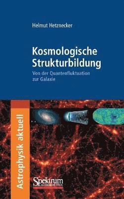 bokomslag Kosmologische Strukturbildung: Von der Quantenfluktuation Zur Galaxie