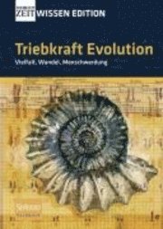 bokomslag Triebkraft Evolution - Vielfalt, Wandel, Menschwerdung