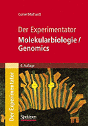 bokomslag Der Experimentator: Molekularbiologie / Genomics