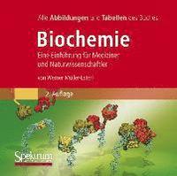 bokomslag Bild-DVD, Biochemie: Die Abbildungen Des Buches