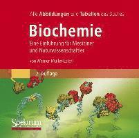 Bild-DVD, Biochemie: Die Abbildungen Des Buches 1