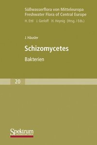 bokomslag Suwasserflora Von Mitteleuropa, Bd. 20: Schizomycetes