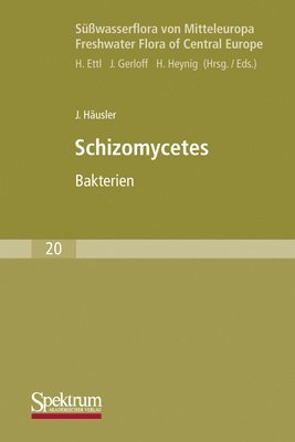 Jiri Häusler - Süßwasserflora Von Mitteleuropa, Bd. 20: Schizomycetes, Häftad