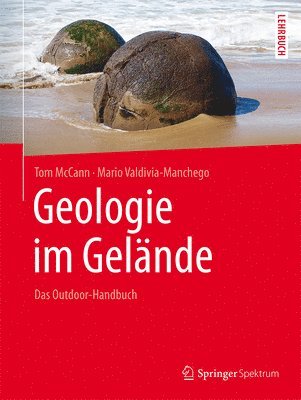 bokomslag Geologie im Gelnde