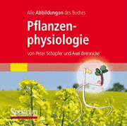 bokomslag Alle Grafiken Des Lehrbuchs Pflanzenphysiologie