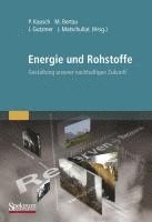 Peter Kausch, Martin Bertau, Jörg Matschullat, Jens Gutzmer - Energie Und Rohstoffe: Gestaltung Unserer Nachhaltigen Zukunft, Inbunden