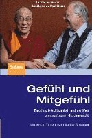 bokomslag Gefuhl Und Mitgefuhl