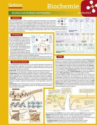 Lerntafel: Biochemie Im Uberblick 1