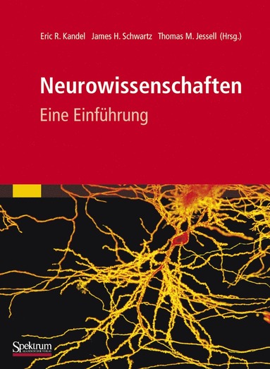 bokomslag Neurowissenschaften