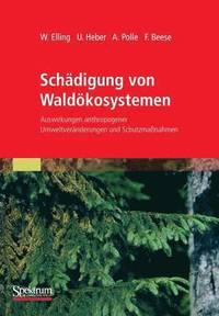 bokomslag Schdigung von Waldkosystemen