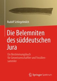 bokomslag Die Belemniten Des Suddeutschen Jura