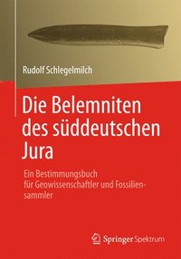 bokomslag Die Belemniten Des Süddeutschen Jura: Ein Bestimmungsbuch Für Geowissenschaftler Und Fossiliensammler