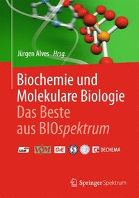 bokomslag Biochemie und molekulare Biologie - Das Beste aus BIOspektrum