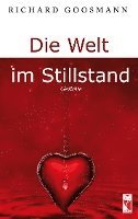 bokomslag Die Welt im Stillstand