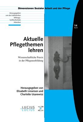 bokomslag Aktuelle Pflegethemen Lehren