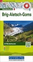 Aletsch-Goms / Brig 1