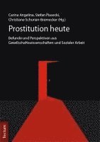 bokomslag Prostitution Heute: Befunde Und Perspektiven Aus Gesellschaftswissenschaften Und Sozialer Arbeit