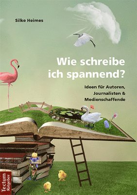 bokomslag Wie schreibe ich spannend?