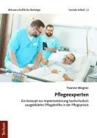 bokomslag Pflegeexperten: Ein Konzept Zur Implementierung Hochschulisch Ausgebildeter Pflegekraften in Der Pflegepraxis